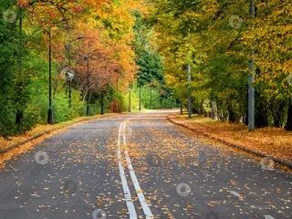 ⛅По данным Гидрометцентра 09.10.2026 на территории Саратовской области прогнозируется п...