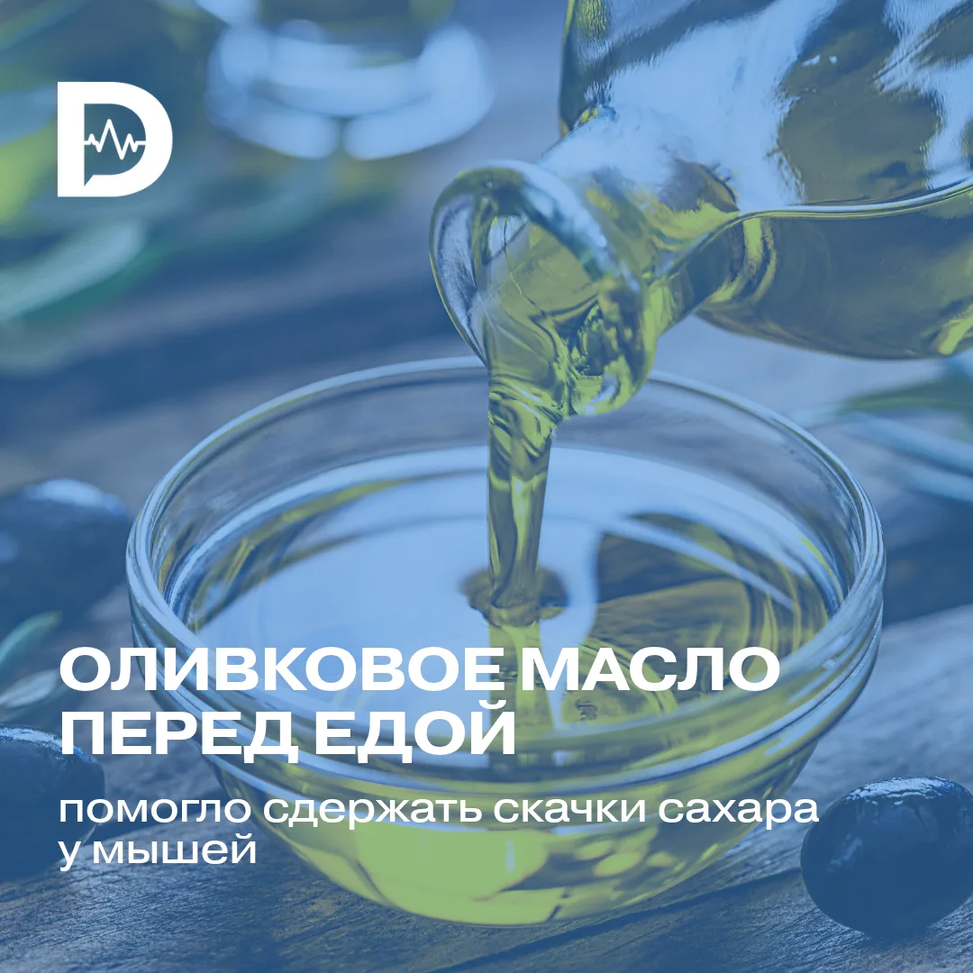Оливковое масло перед едой помогло сдержать скачки сахара у мышей