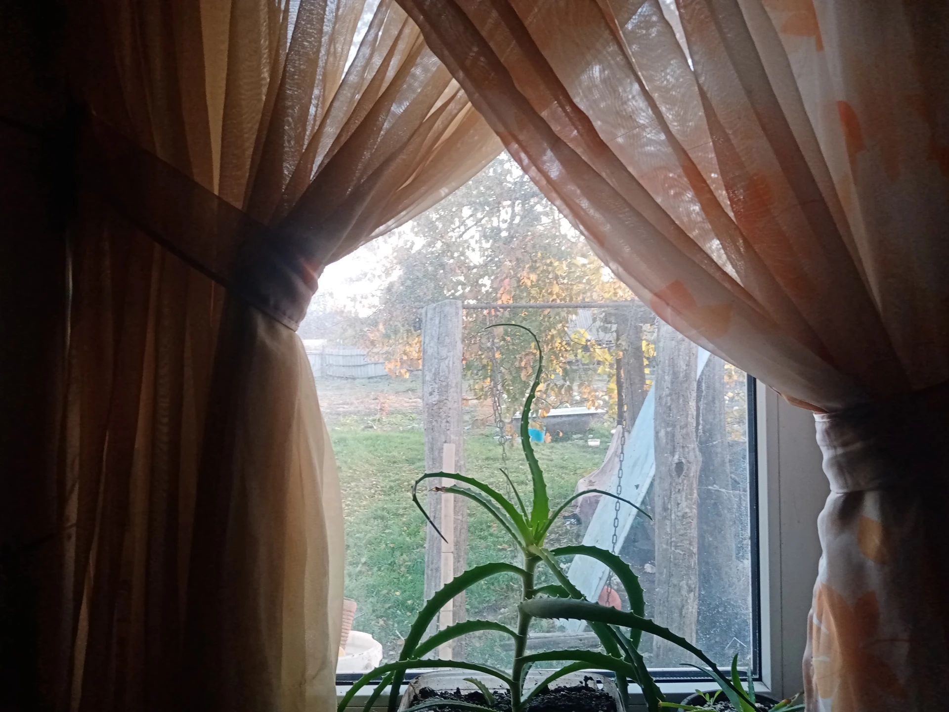 Всем, кто выдержал понедельник, вторник в подарок 😂 Доброго утра и производительного д...