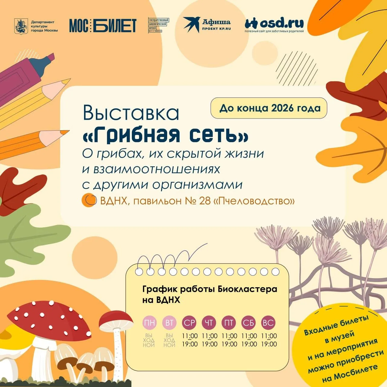 Постепенно осень становится по-настоящему золотой, а мы традиционно зовём вас разделить...