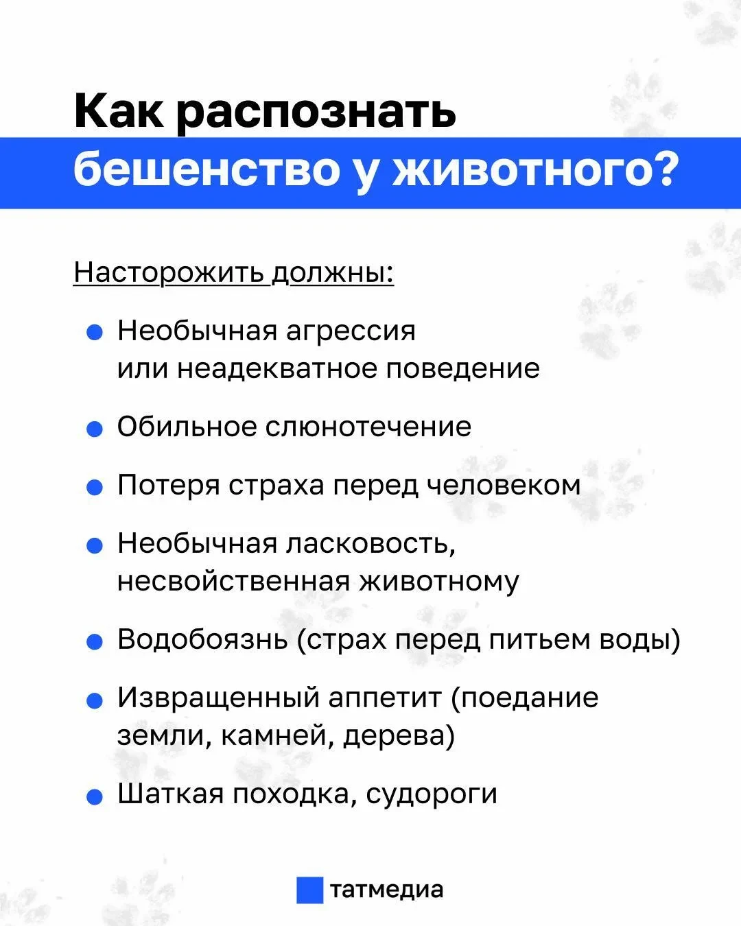 В шести районах Татарстана могут ввести карантин по бешенству