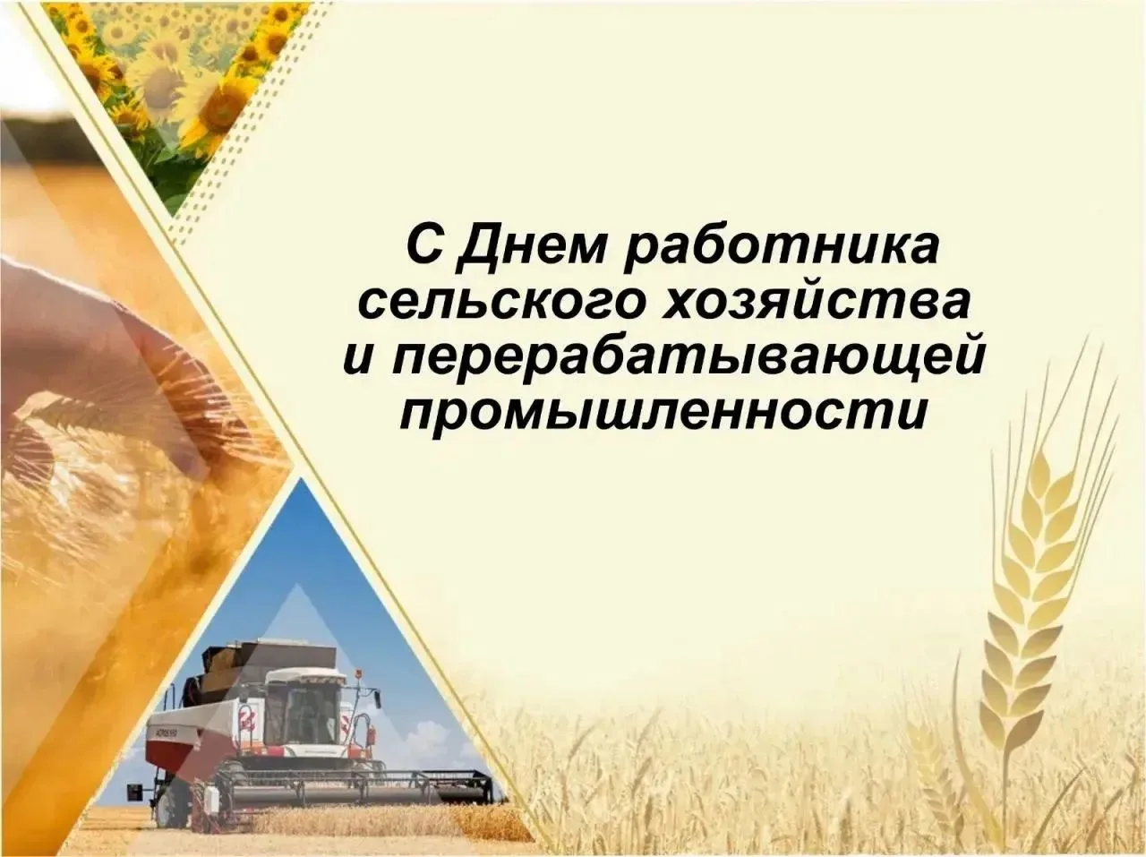 С ПРОФЕССИОНАЛЬНЫМ ПРАЗДНИКОМ