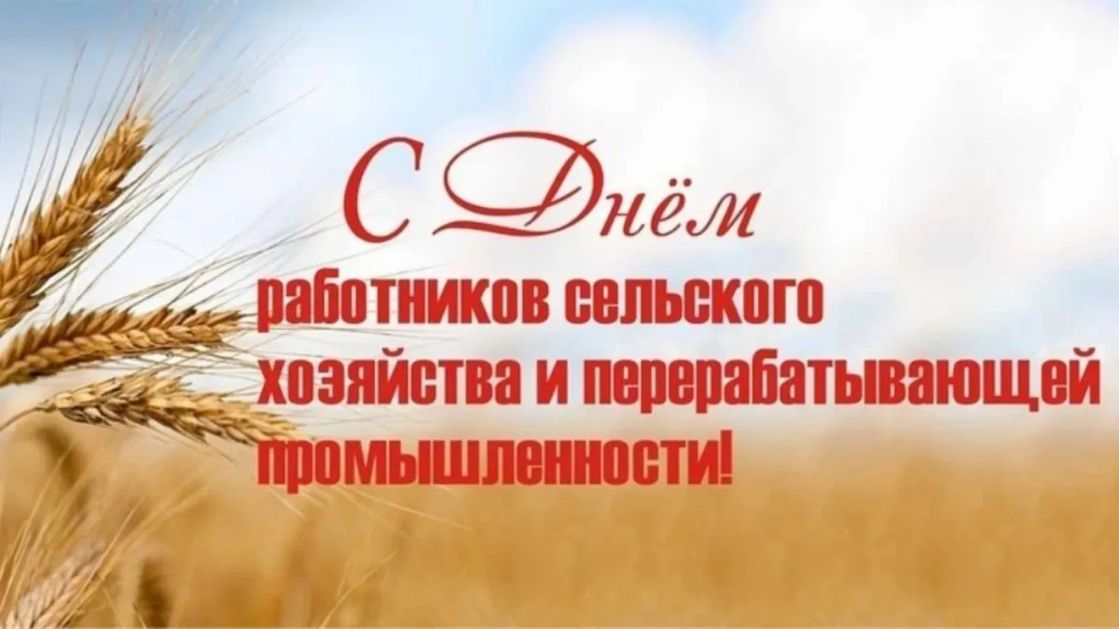 🌻С Днем работника сельского хозяйства!                                                ...
