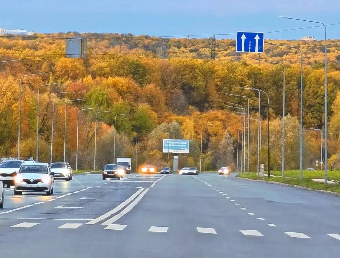 Шуршите на здоровье! 🍁