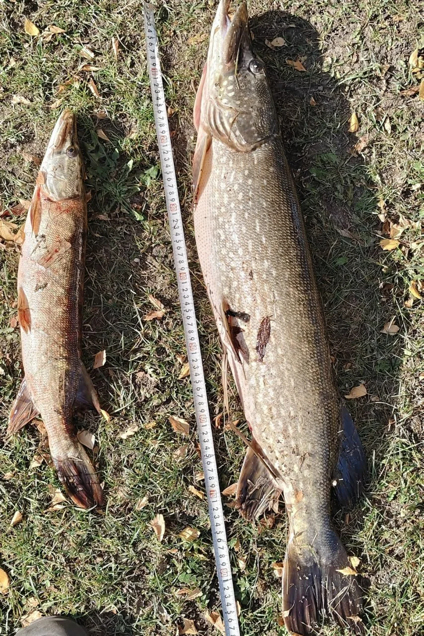 12.10.26