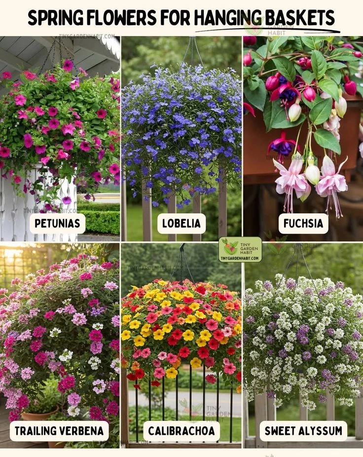 ВЕРТИКАЛЬНОЕ ОЗЕЛЕНЕНИЕ в современном дизайне 🌺🌿