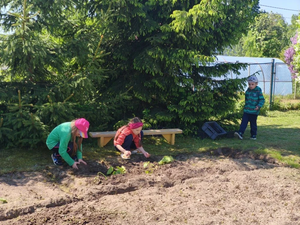 🌱Мы посадим огород, не устанем от забот!