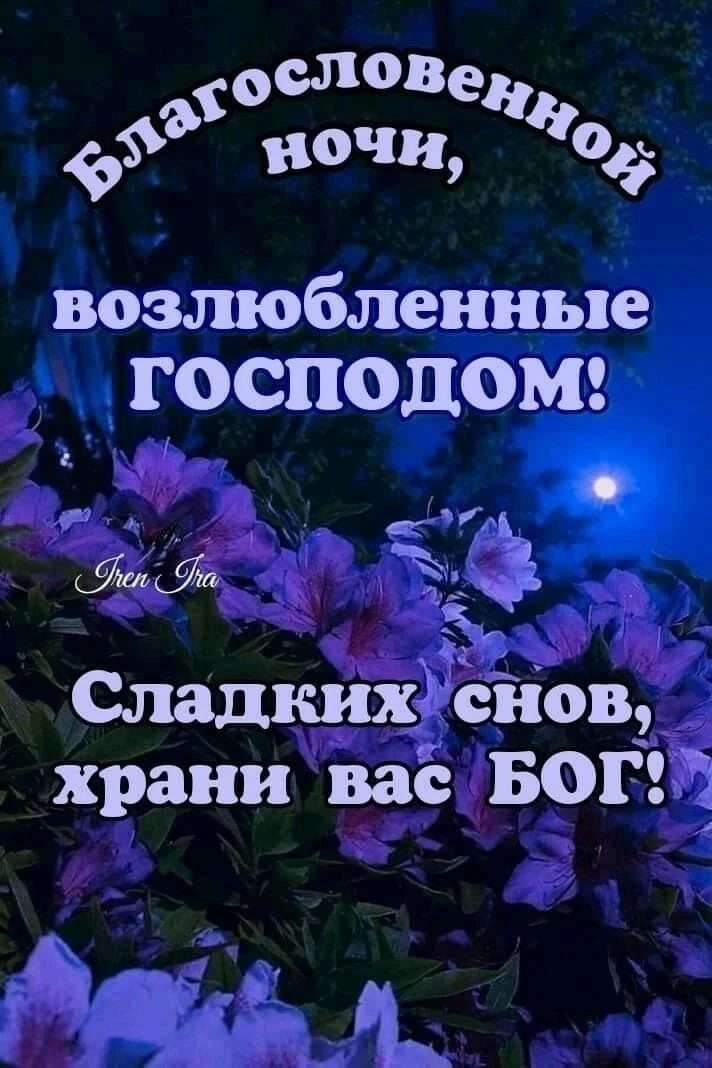 Спокойной ночи, мои дорогие! Да храни вас Бог! ❤️❤️❤️