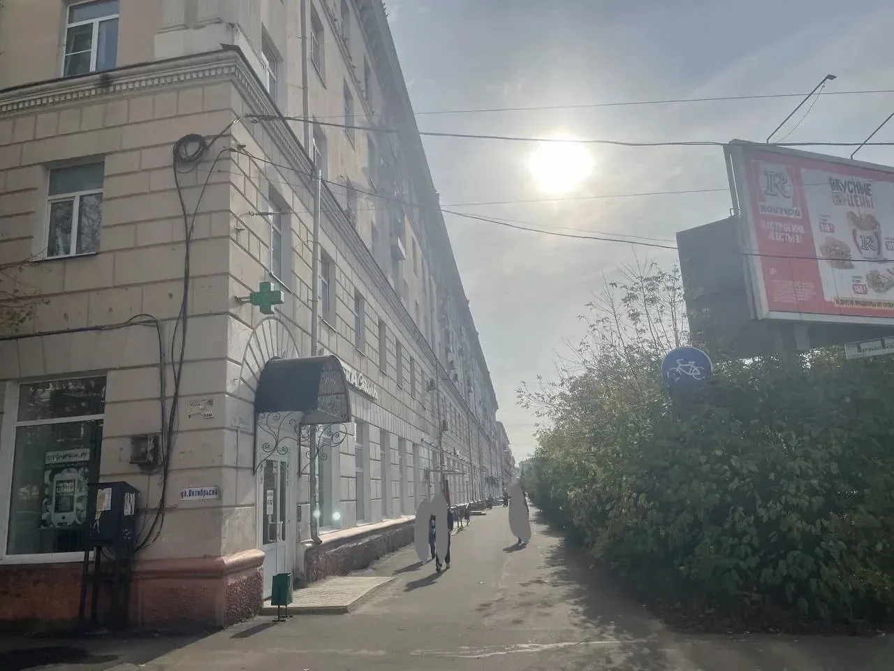 🌿 «Настоящие джунгли!»: ивановцы требуют подстричь заросшие кусты на проспекте Ленина