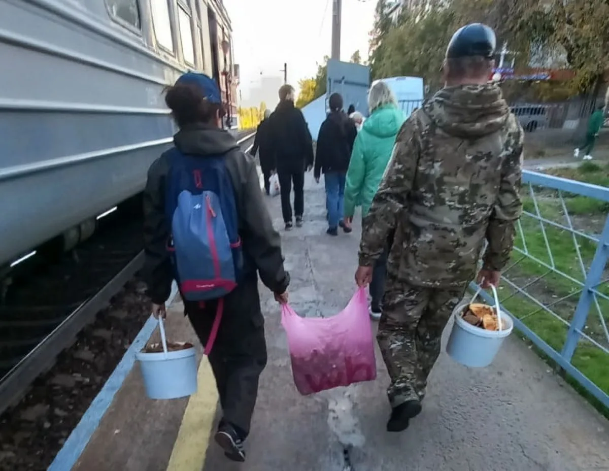 Грибники Воронежской области загружаются по полной