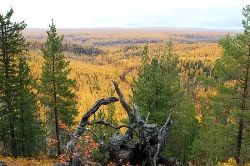 #КрайЗнай