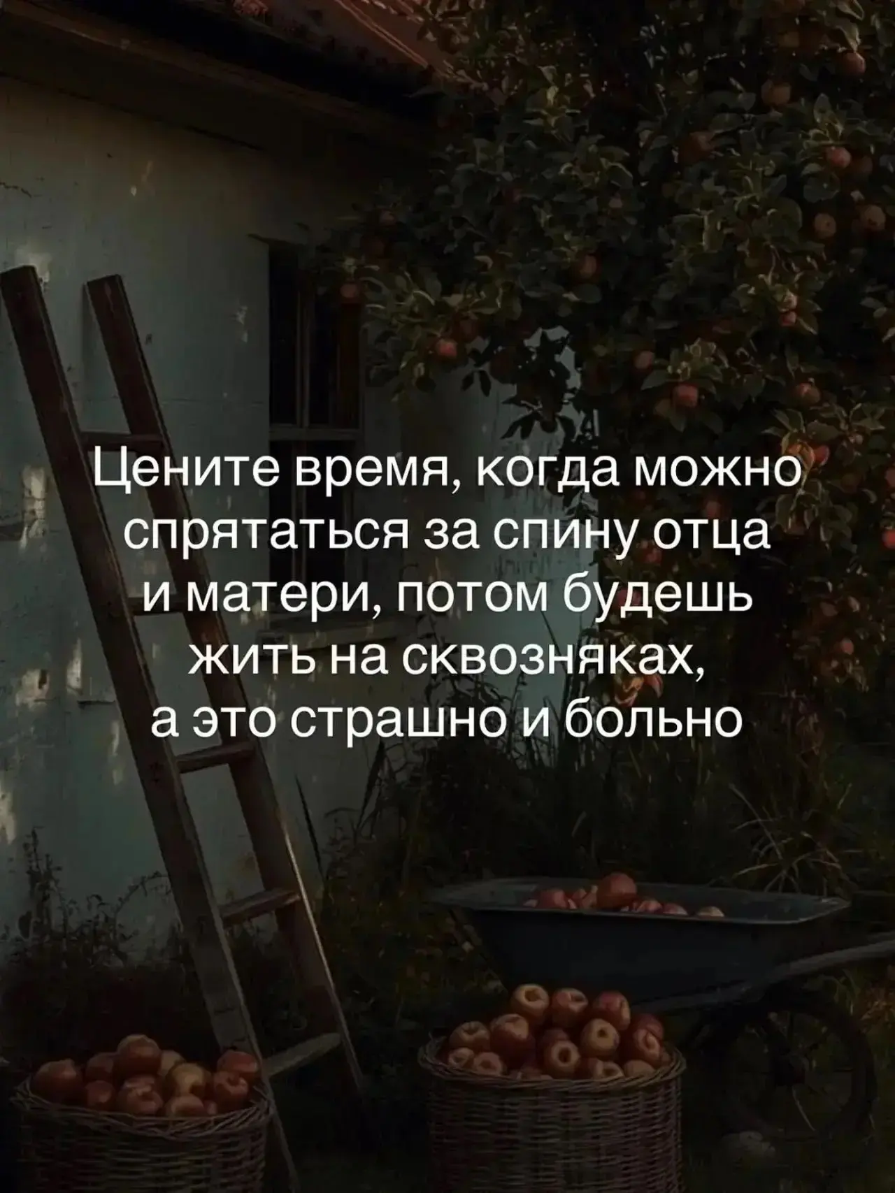 Нерв Вальдемара подпишись