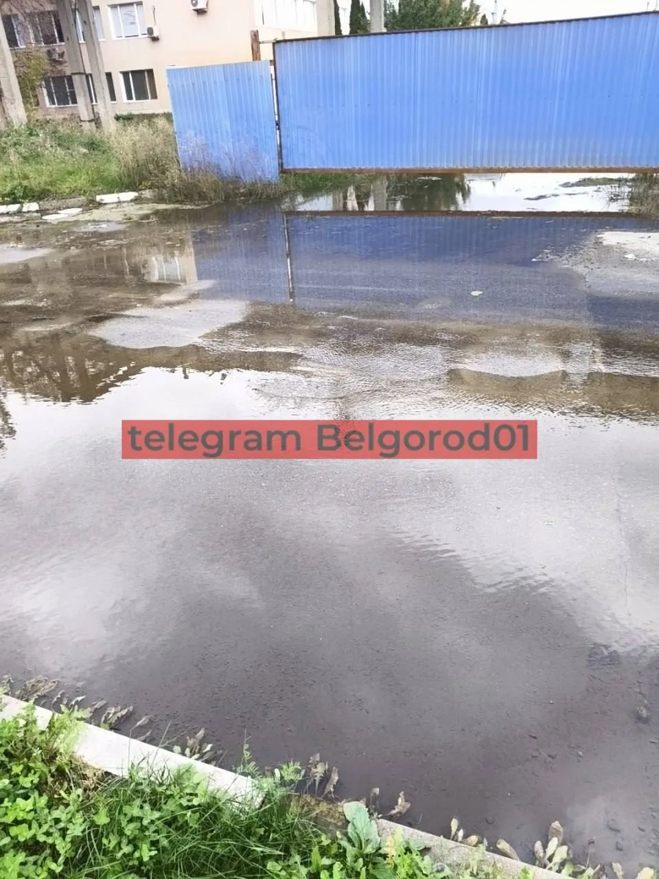 Вода около полугода бьет из-под земли на территории витаминного комбината на Рабочей, 14.