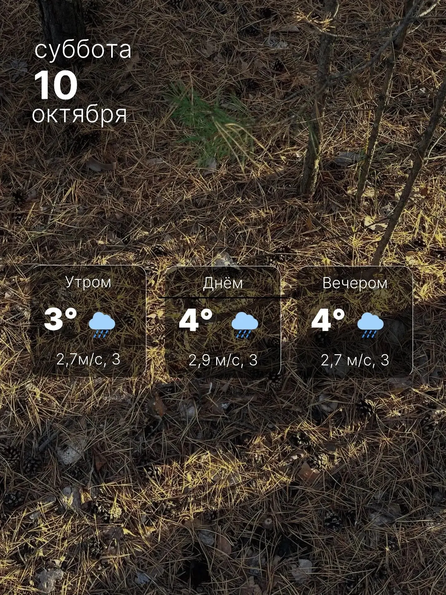 🌧️ Суббота встретит дождём и холодом