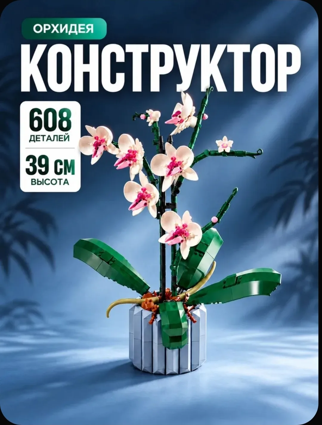 ⭐️ 4.9