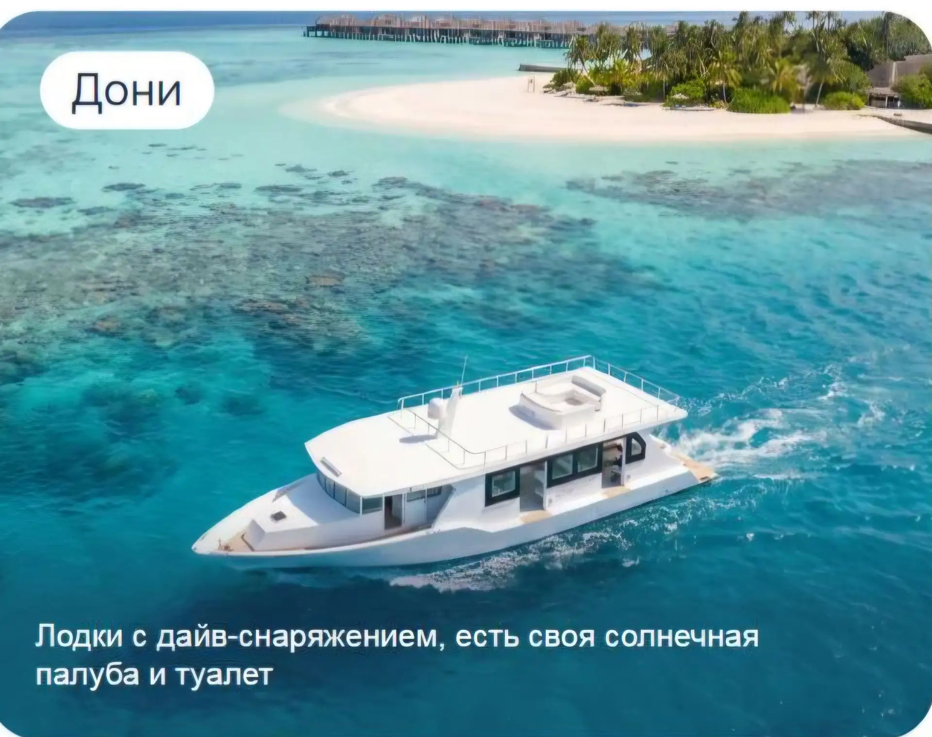 Секретный эскорт. Кто такие Дони и Динги? Зачем они преследуют яхту? 🤔⚓️