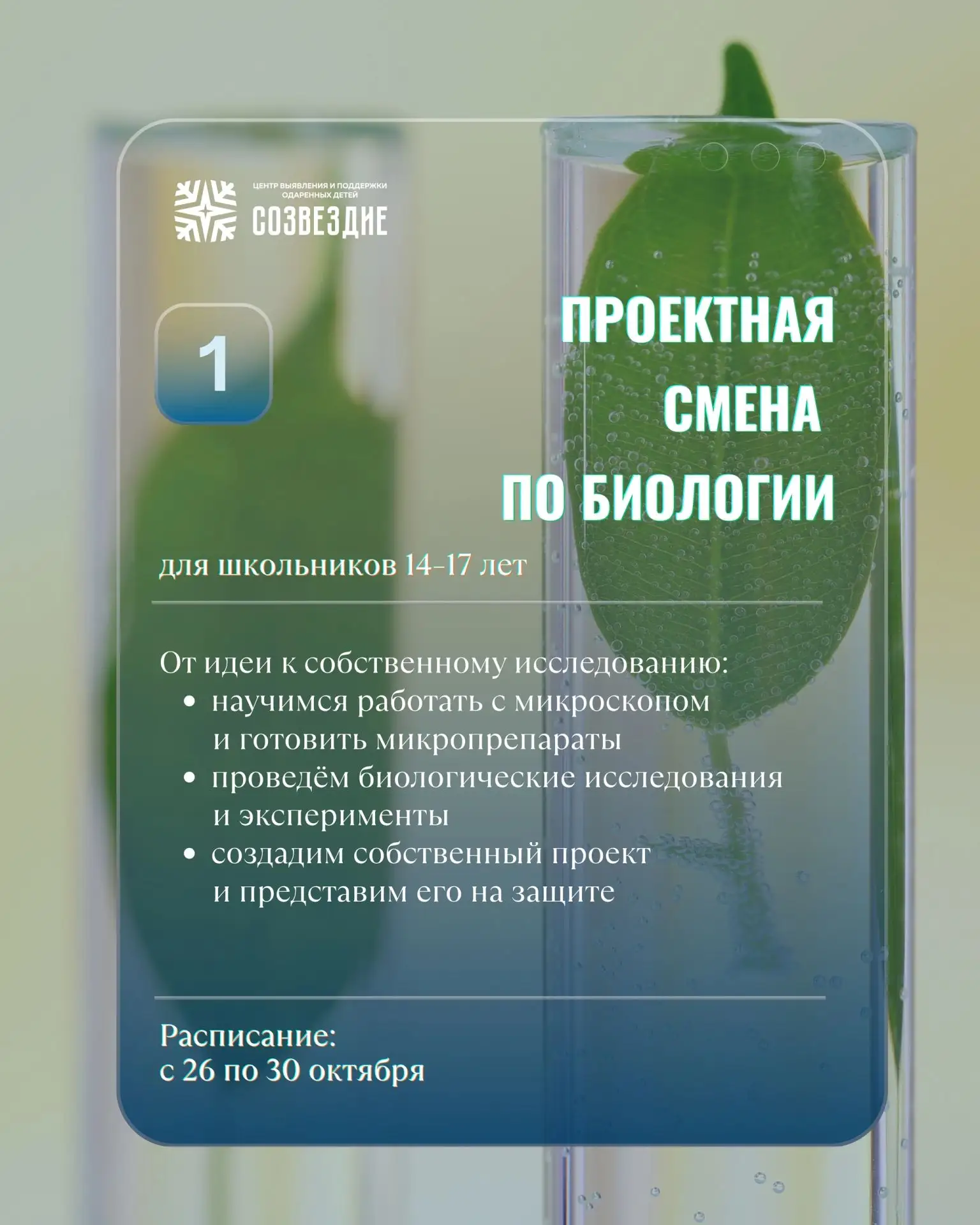 📢 Архангельский центр "Созвездие" открывает набор на осеннюю профильную смену!