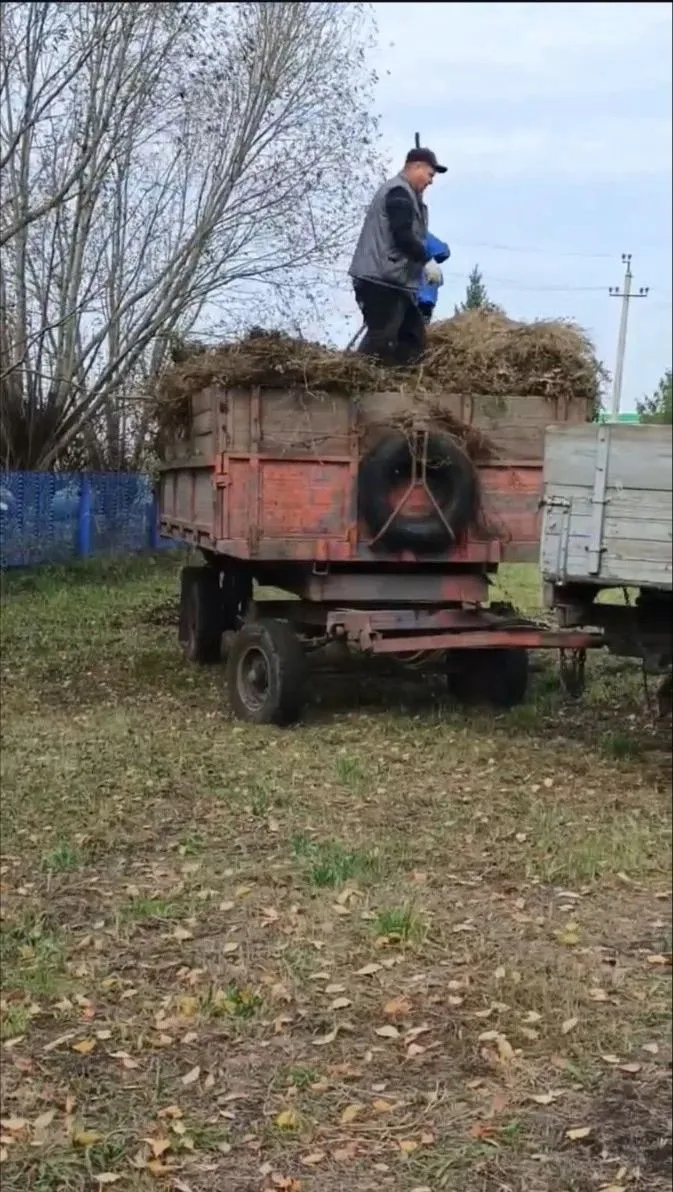 🌳 В Нурлате на кладбище микрорайона Курмыш прошёл традиционный осенний субботник