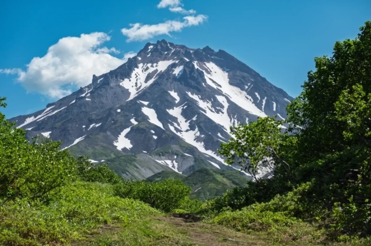 Камчатские вулканы влияют на океан на глубине до 500 м