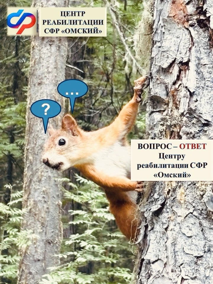 ❓Хотите узнать больше о Центре реабилитации СФР «Омский»? Воспользуйтесь нашей новой ру...
