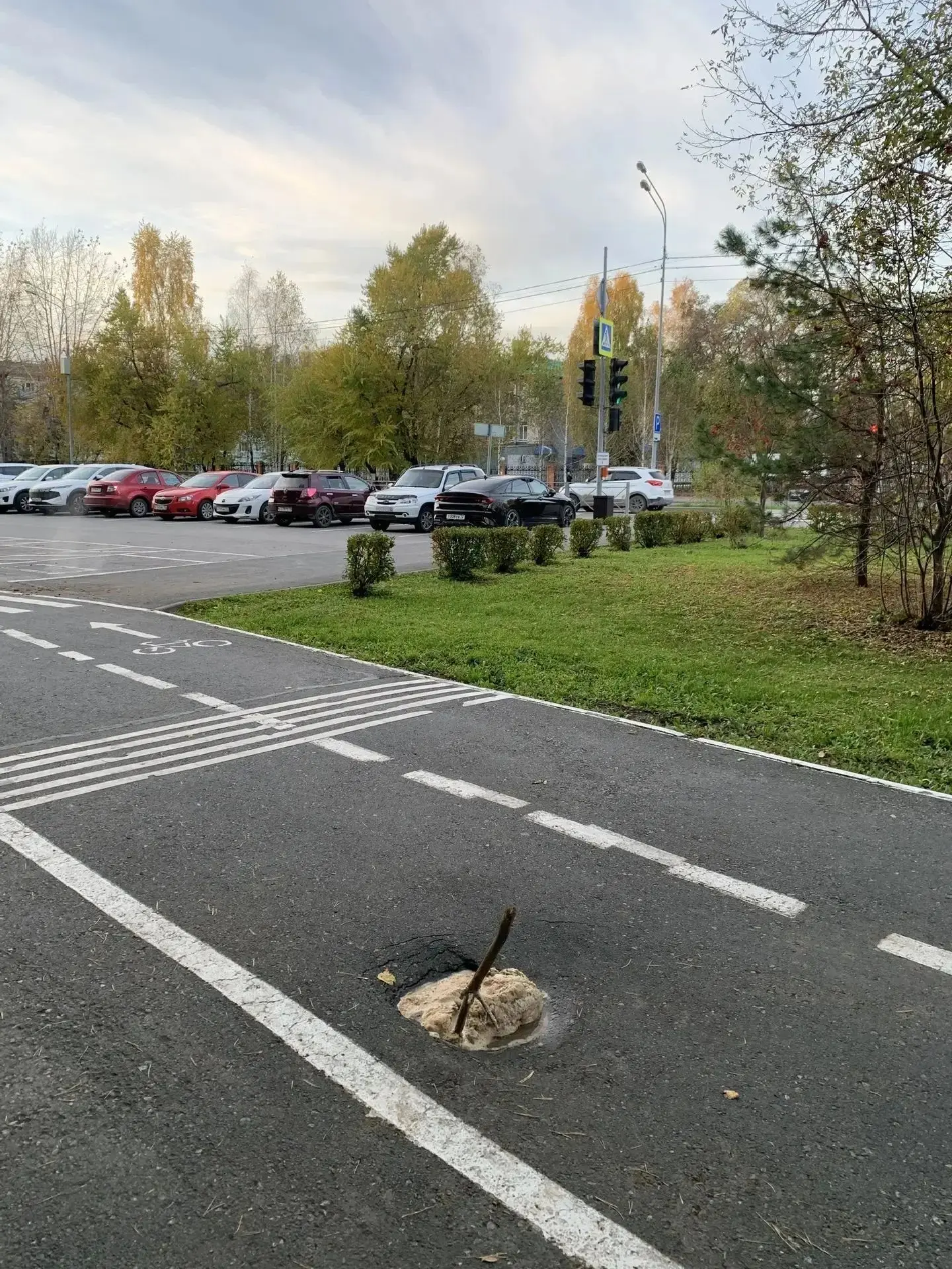 В Экопарке «Затюменский» из‑за прорыва горячей воды размыло асфальт