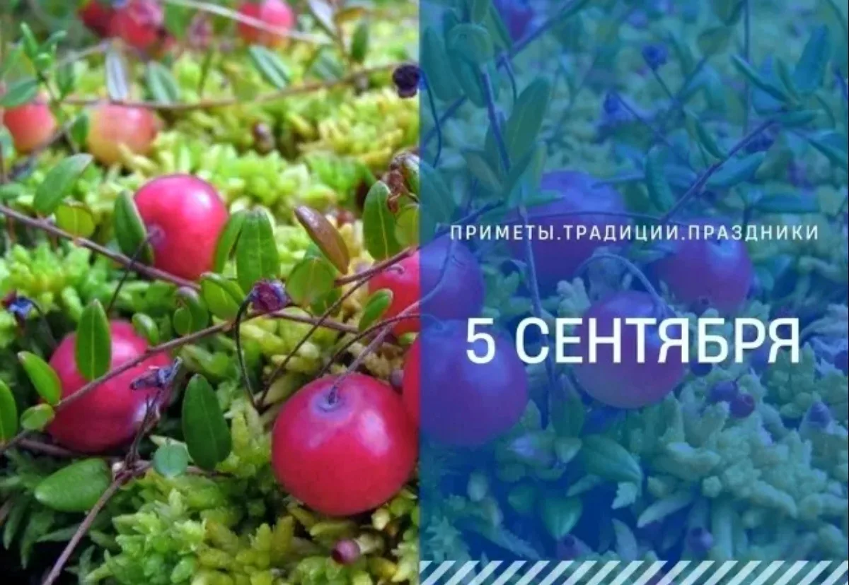 🌓 5 сентября: зов предков и дыхание богов 🌓