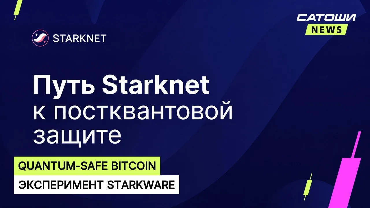 #bitcoin #квант #starknet