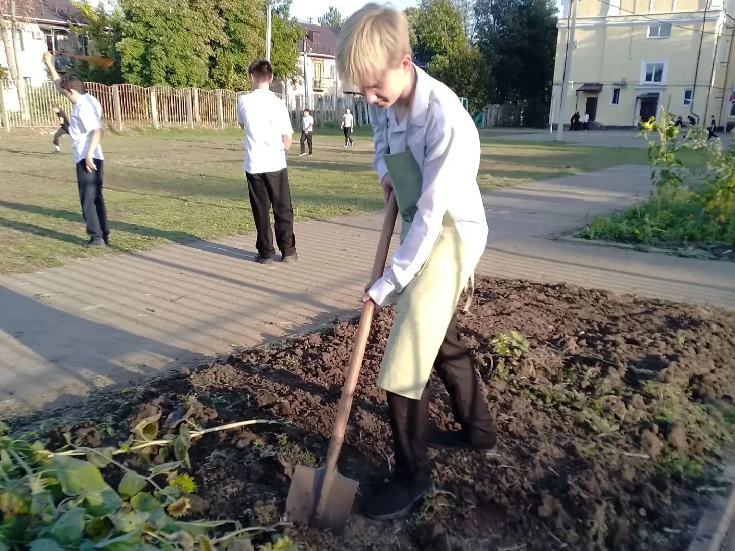 От грядки к гаджету: как уроки труда учат главному