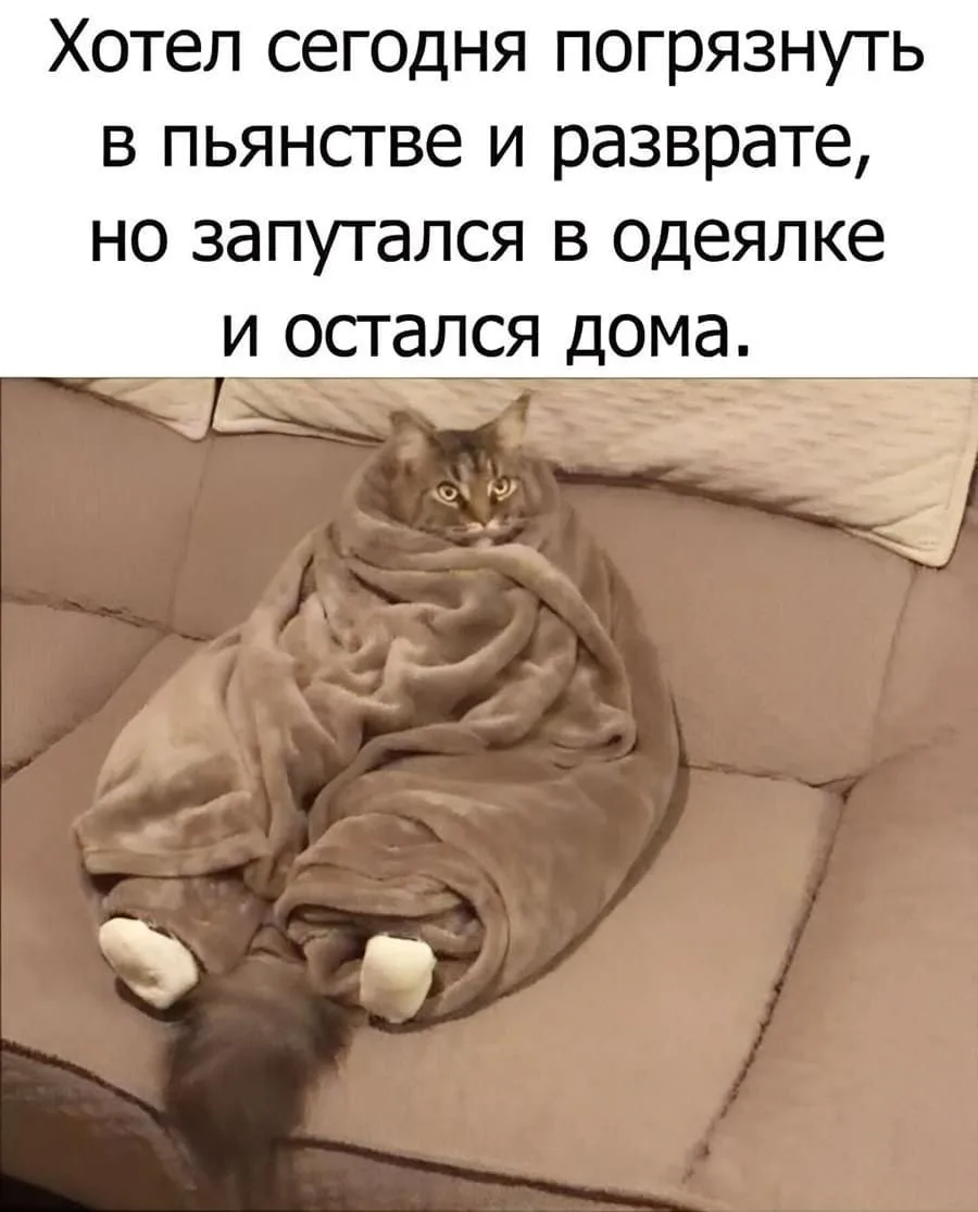 😅🥰