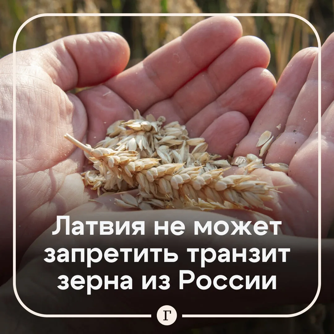 В Латвии заявили о провале плана запретить транзит российского зерна.