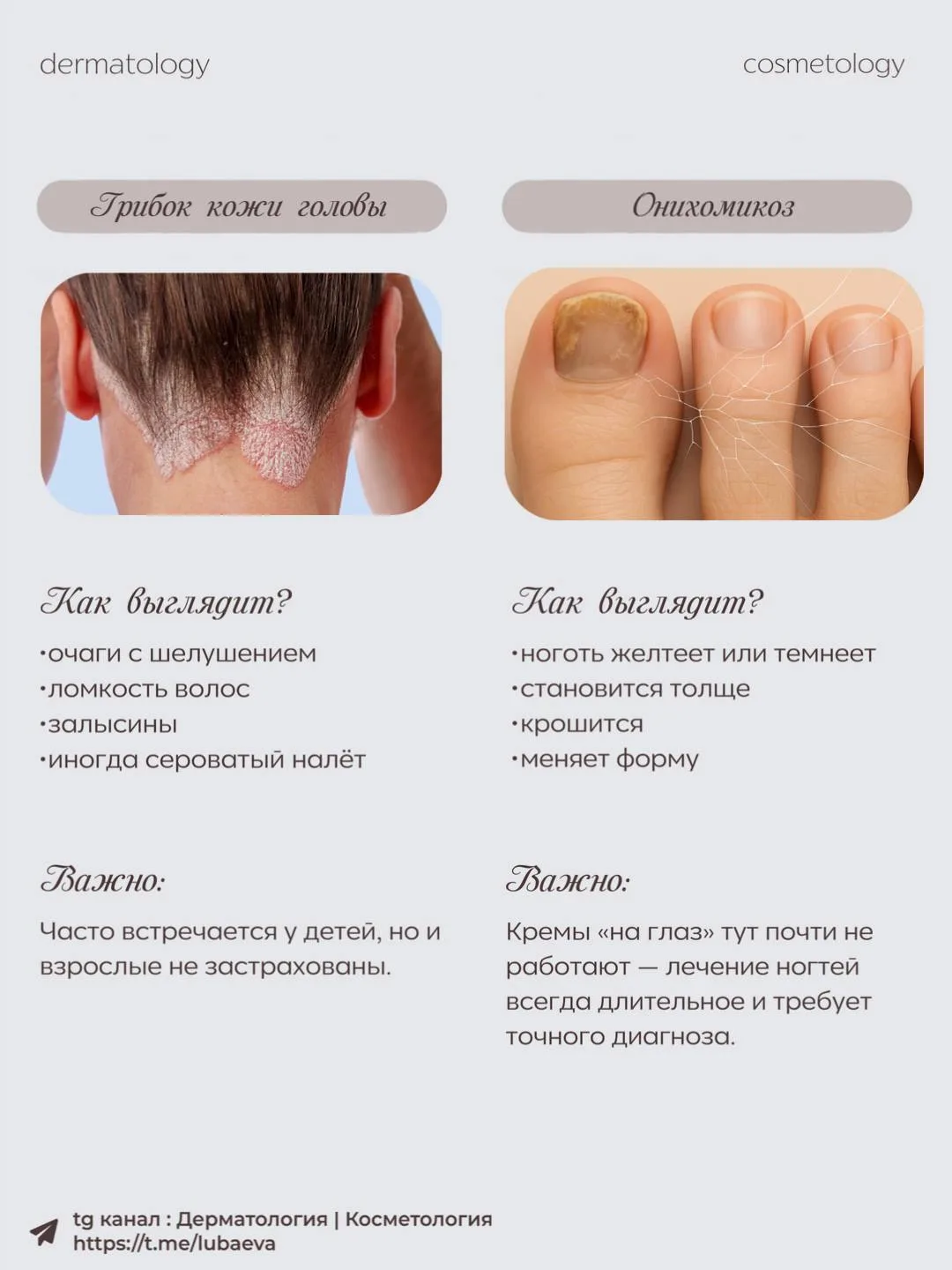#грибок