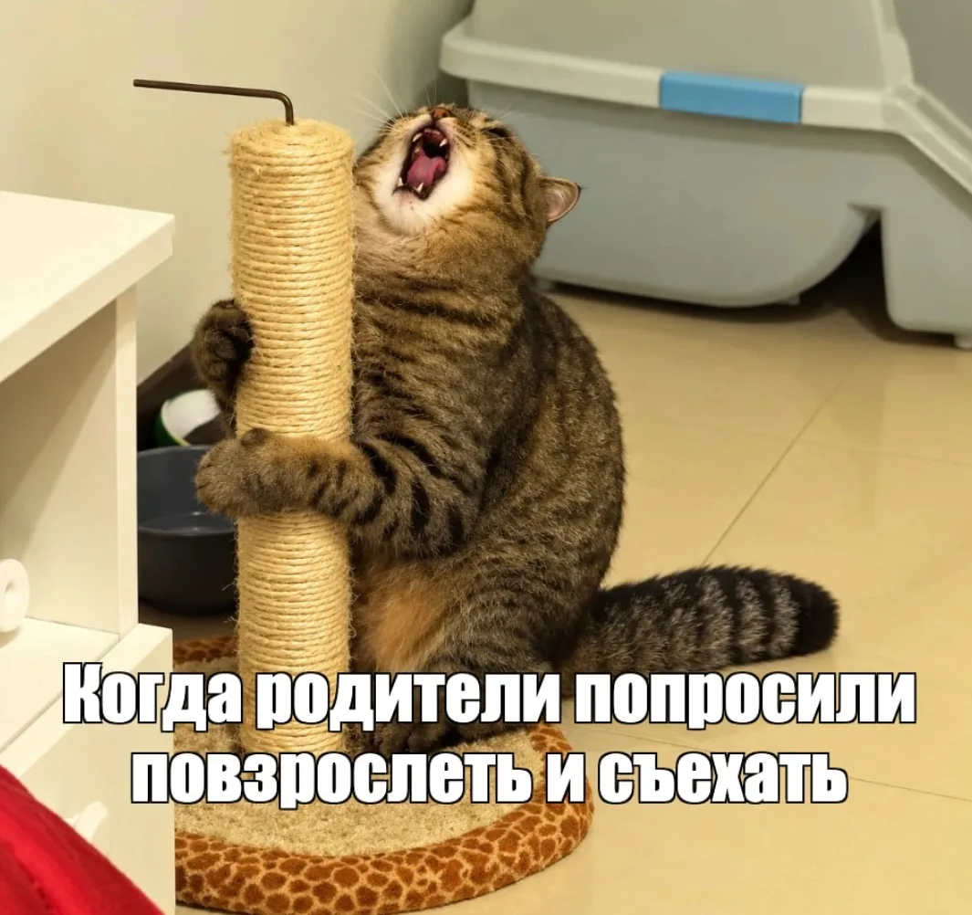 Психолог объяснил, как выселить повзрослевшее чадо