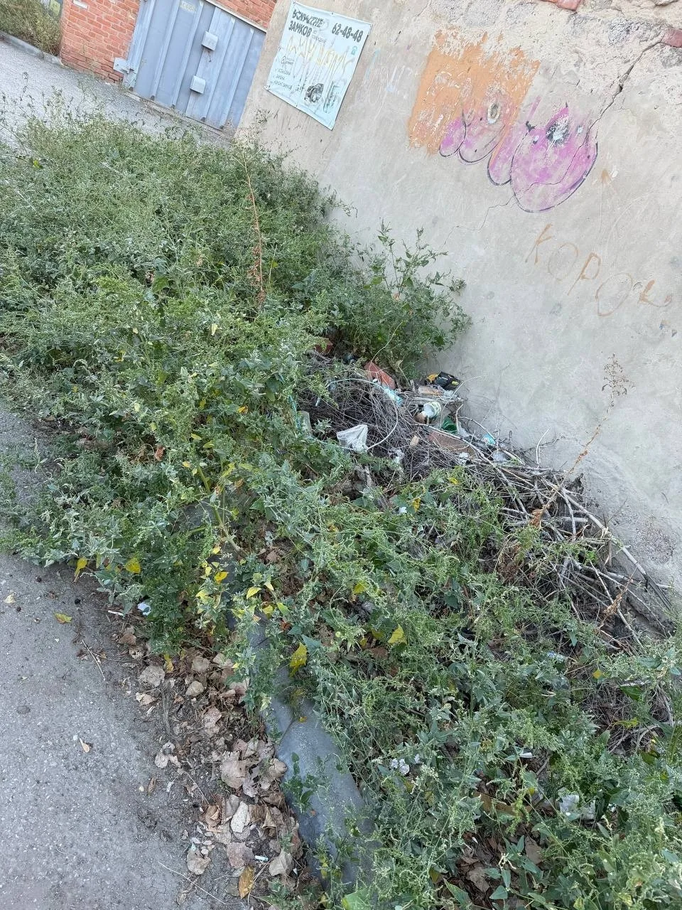 🏚 Прогулка с коляской по Советскому району как квест в «Форт Боярде»