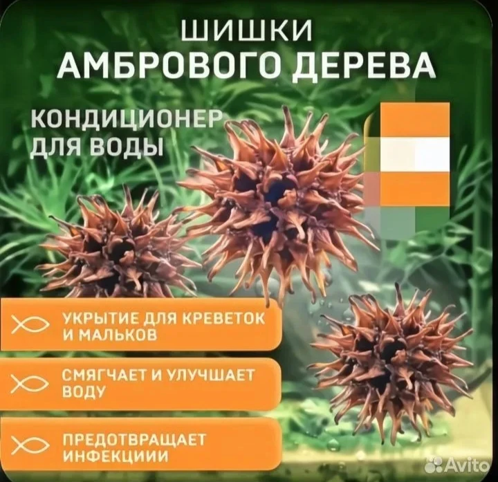 Отдам даром
