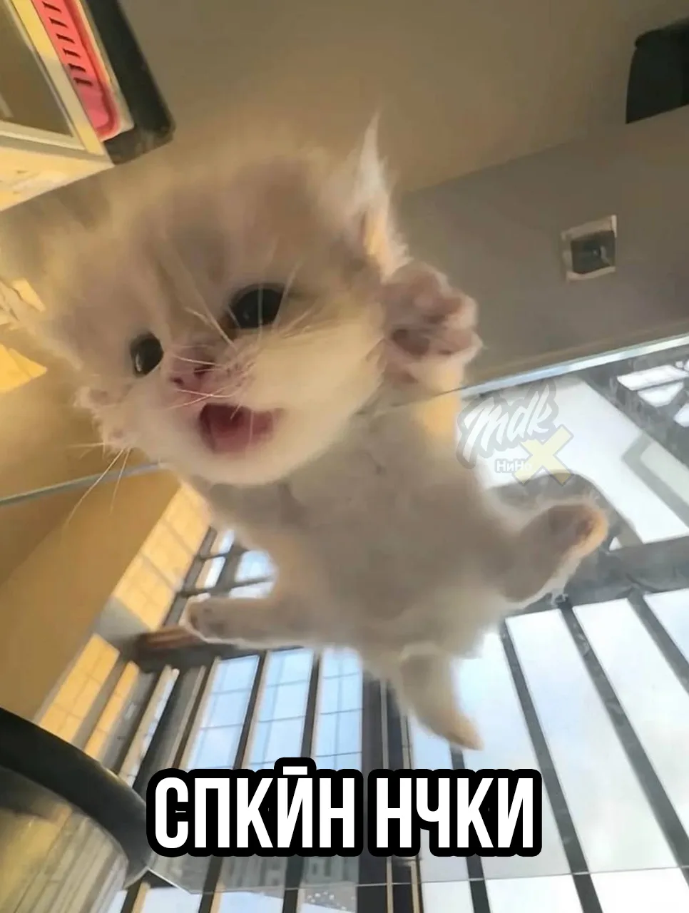 Дргй пдпсчк