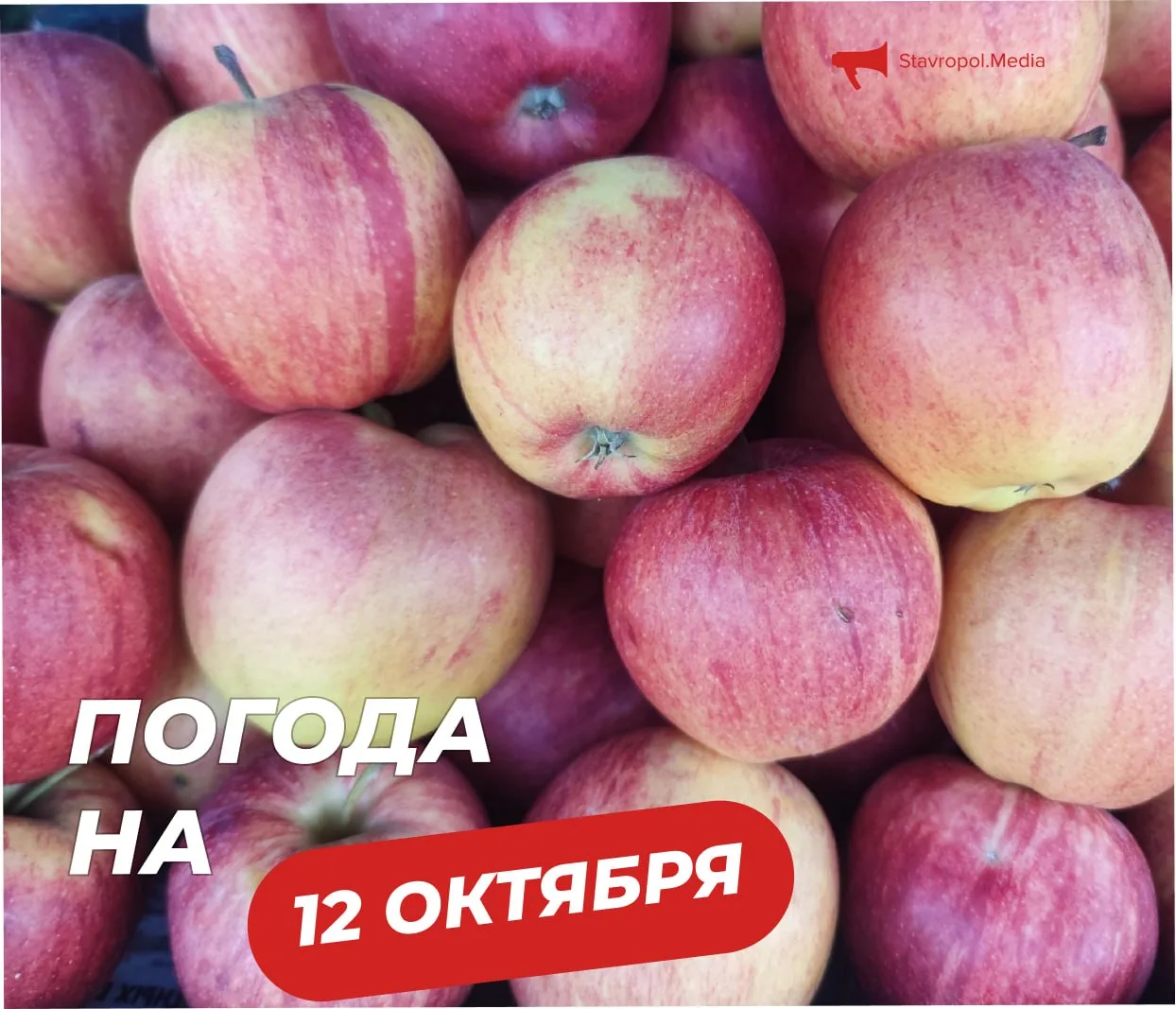 ПОГОДА на сегодня в Ставрополе: