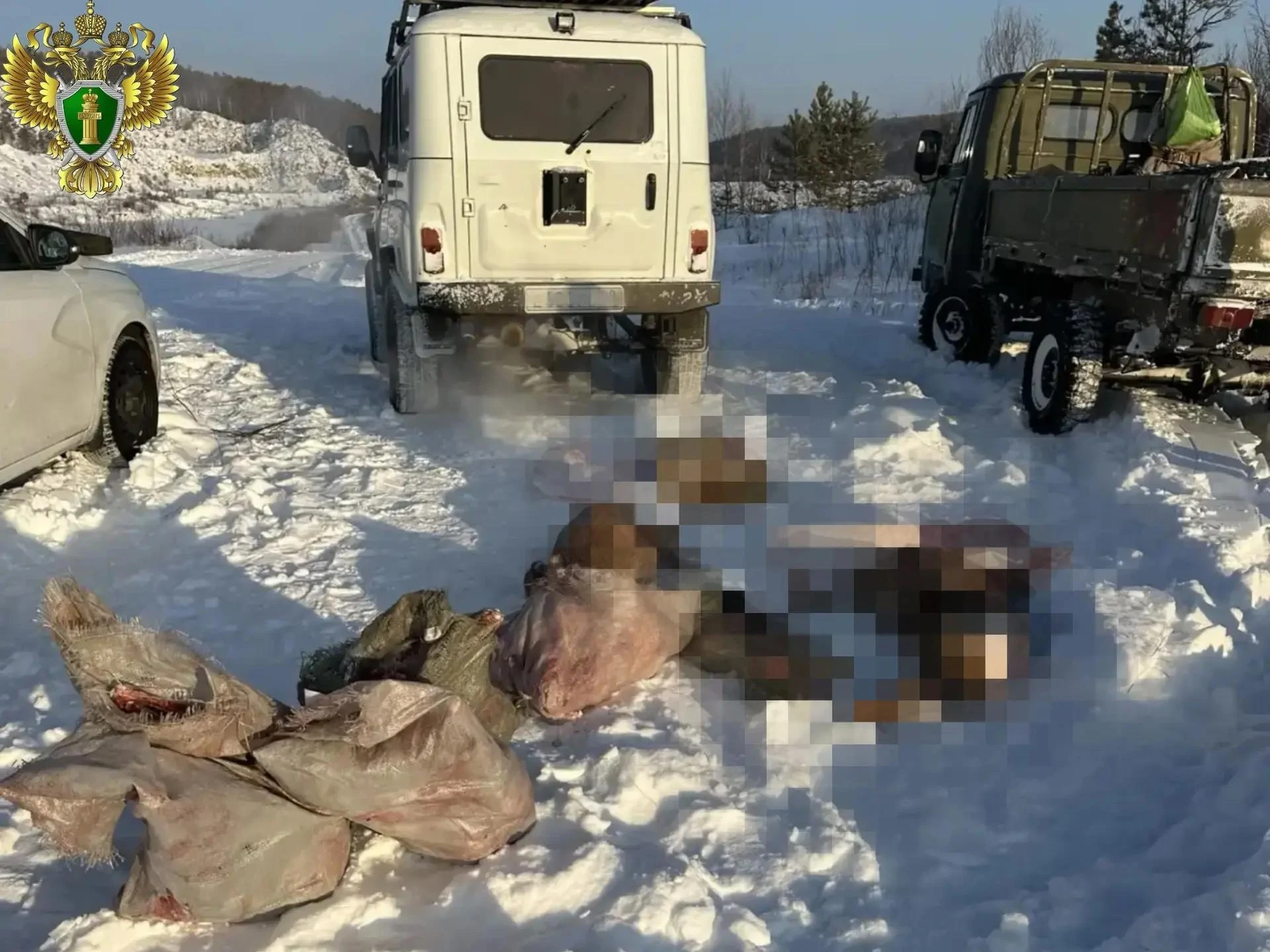 В Шимановском муниципальном округе по требованию прокуратуры взыскан ущерб от браконьер...