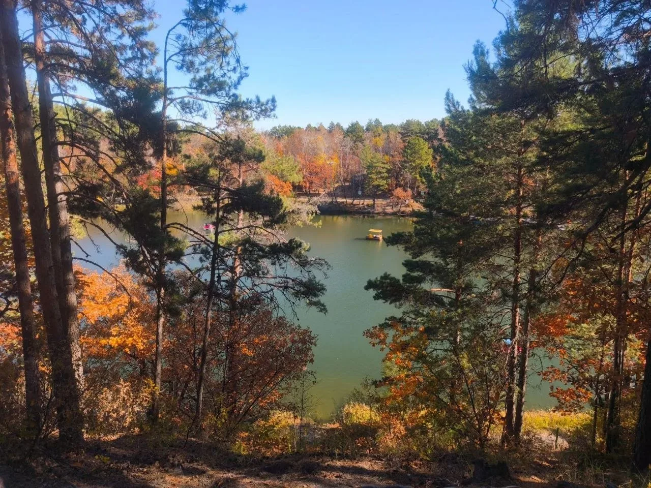 Прекрасная амурская осень 🍂 Узнали место?