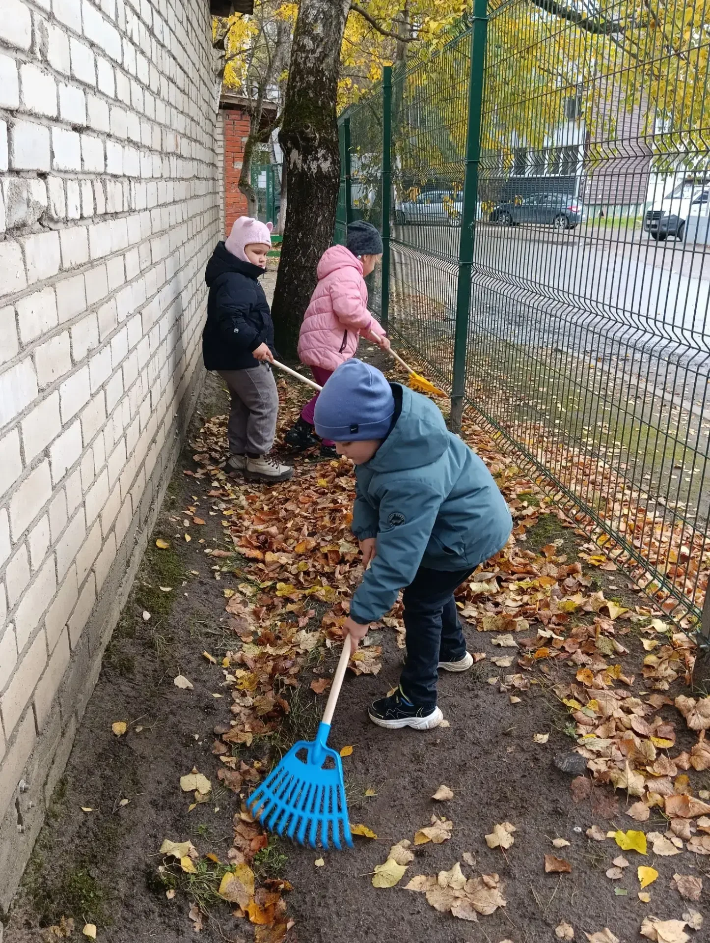 Трудовой десант гр. Буратино в действии! 💪🍂