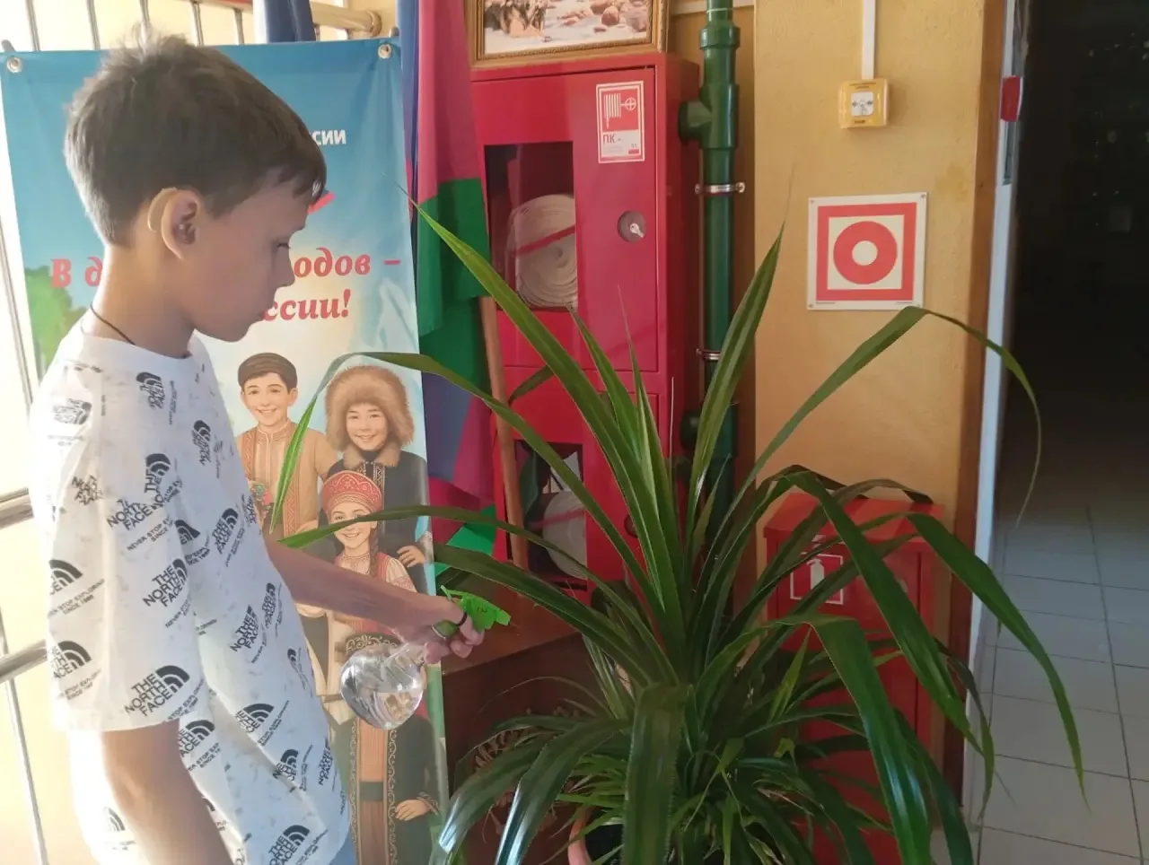 🌿 Цветы — это не только красиво, но и полезно!