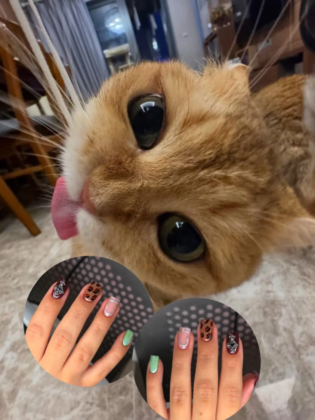VanevaNails