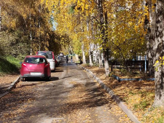☀️ До +22 градусов потеплеет в Пензенской области 13 октября