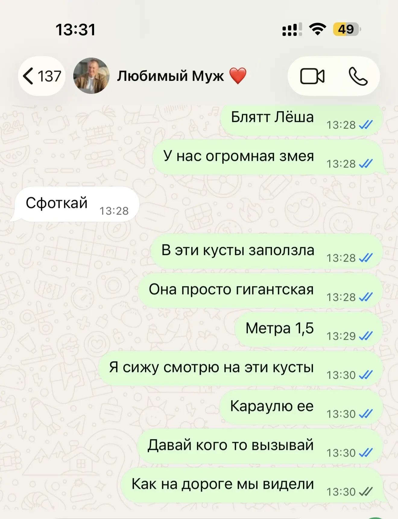 Сидела спокойно, обедала на веранде, пока не увидела змею метра полтора 🐍😱Женщина в п...