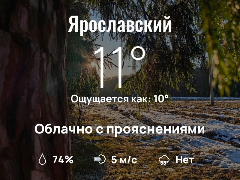 Что с погодой в Ярославском?