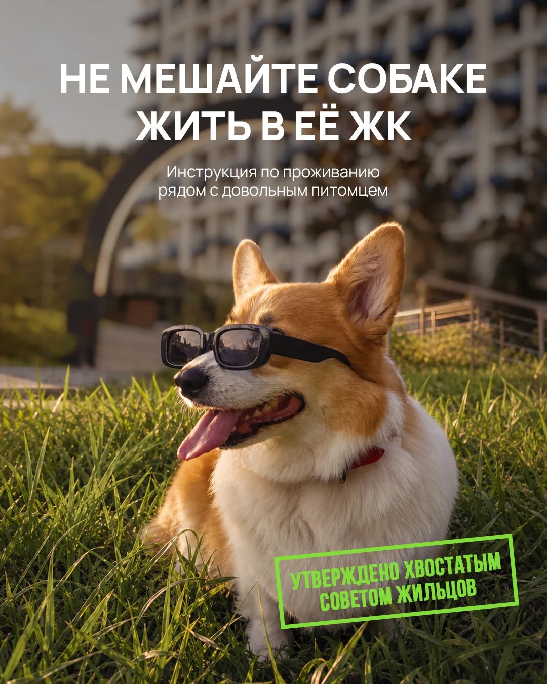 Можно долго выбирать планировку и этаж, но финальную оценку новому дому всегда ставит с...