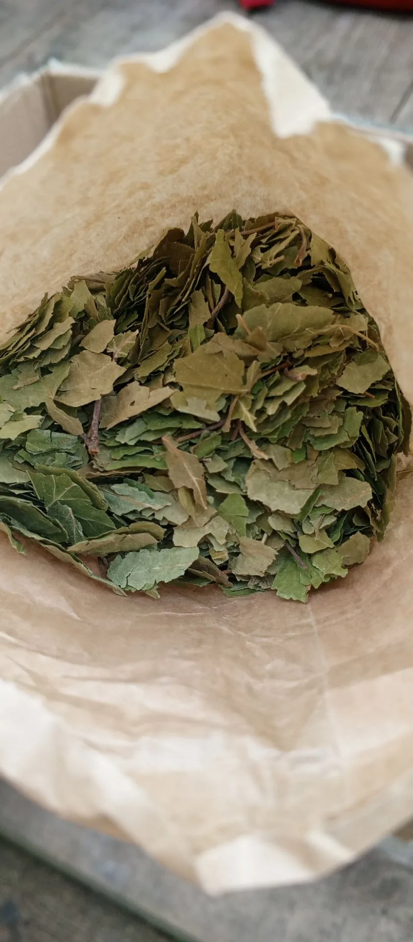 Сегодня с утра расфасовывала травки 🌿