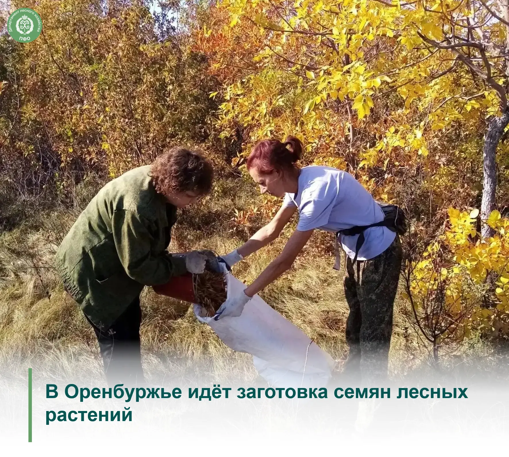 👥️ Сотрудники Центра пожаротушения и охраны лесов Оренбургской области приступили к сб...