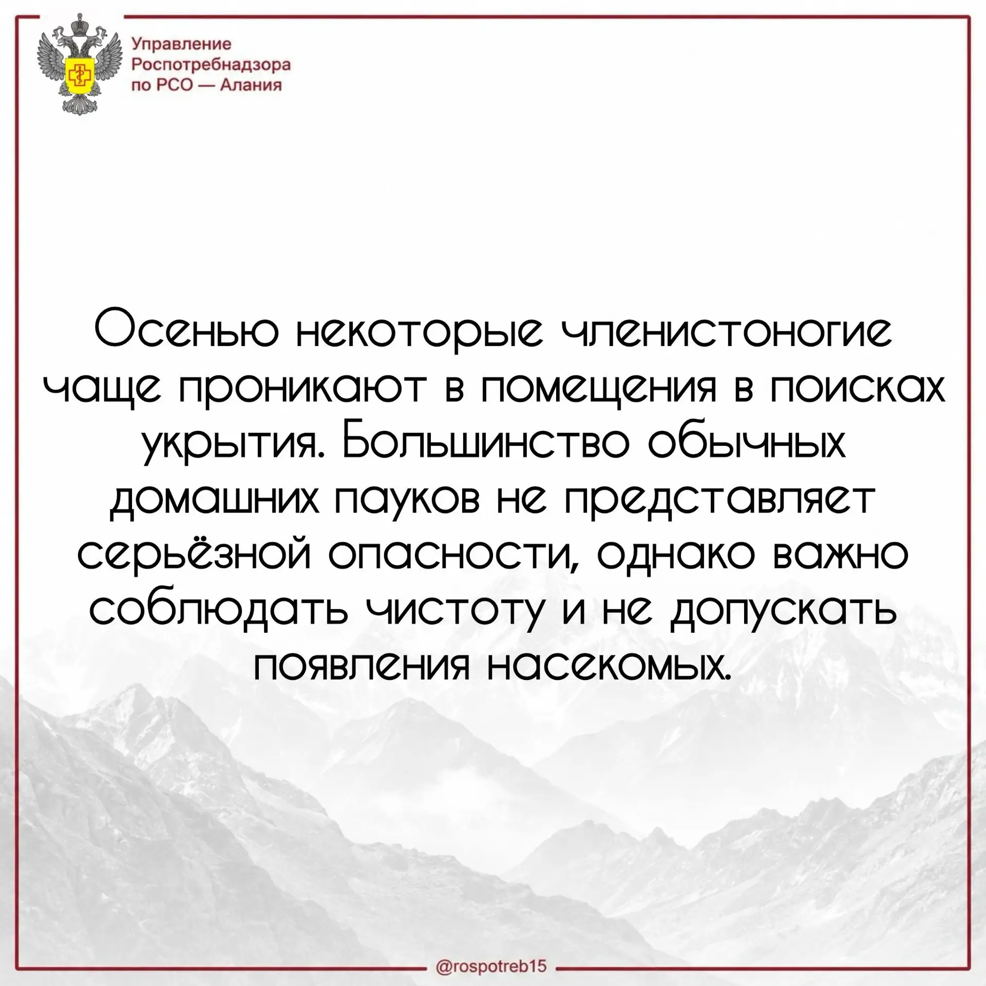 Как защитить дом от пауков и других членистоногих?