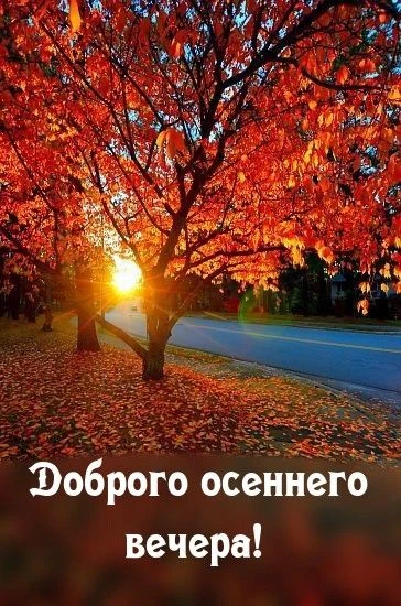 МИР ПОЗИТИВА 🤩 ОТКРЫТКИ!!