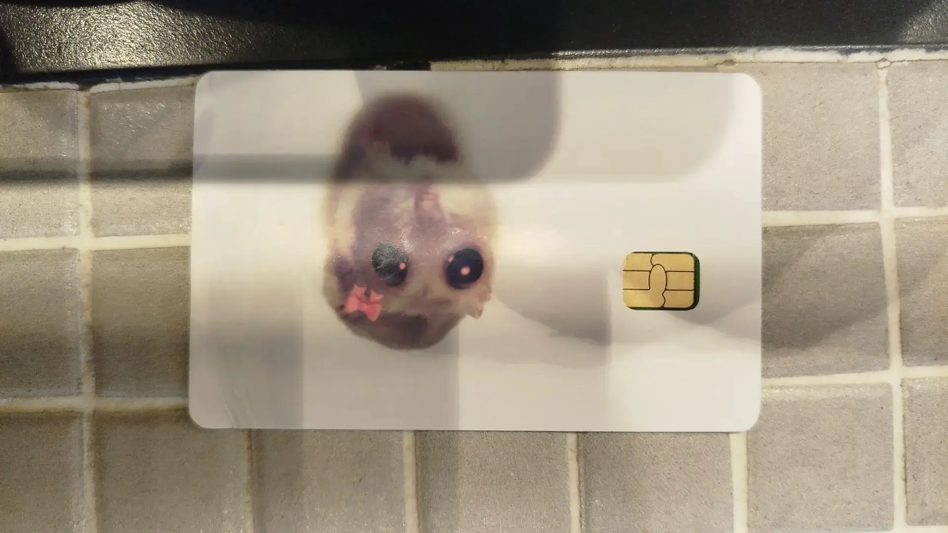 Нашли карту сбер 💳 в Пицца Миа. Спросите у охранника